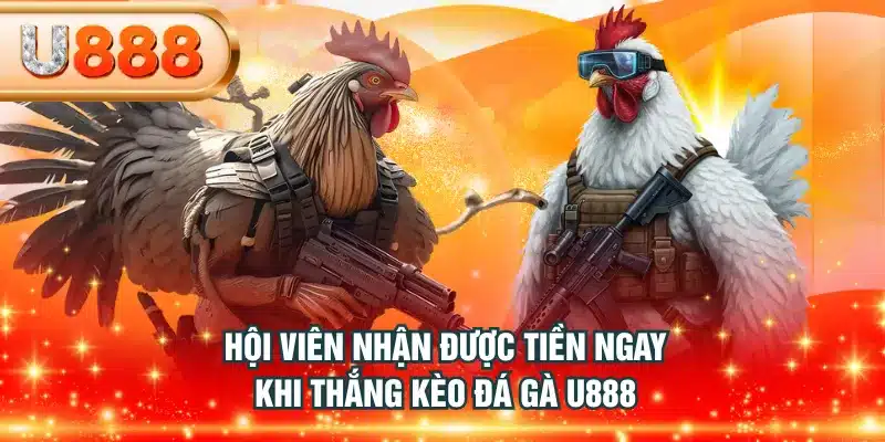 Hội viên nhận được tiền ngay khi thắng kèo Đá Gà U888