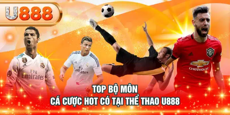 Top bộ môn cá cược hot có tại Thể Thao U888